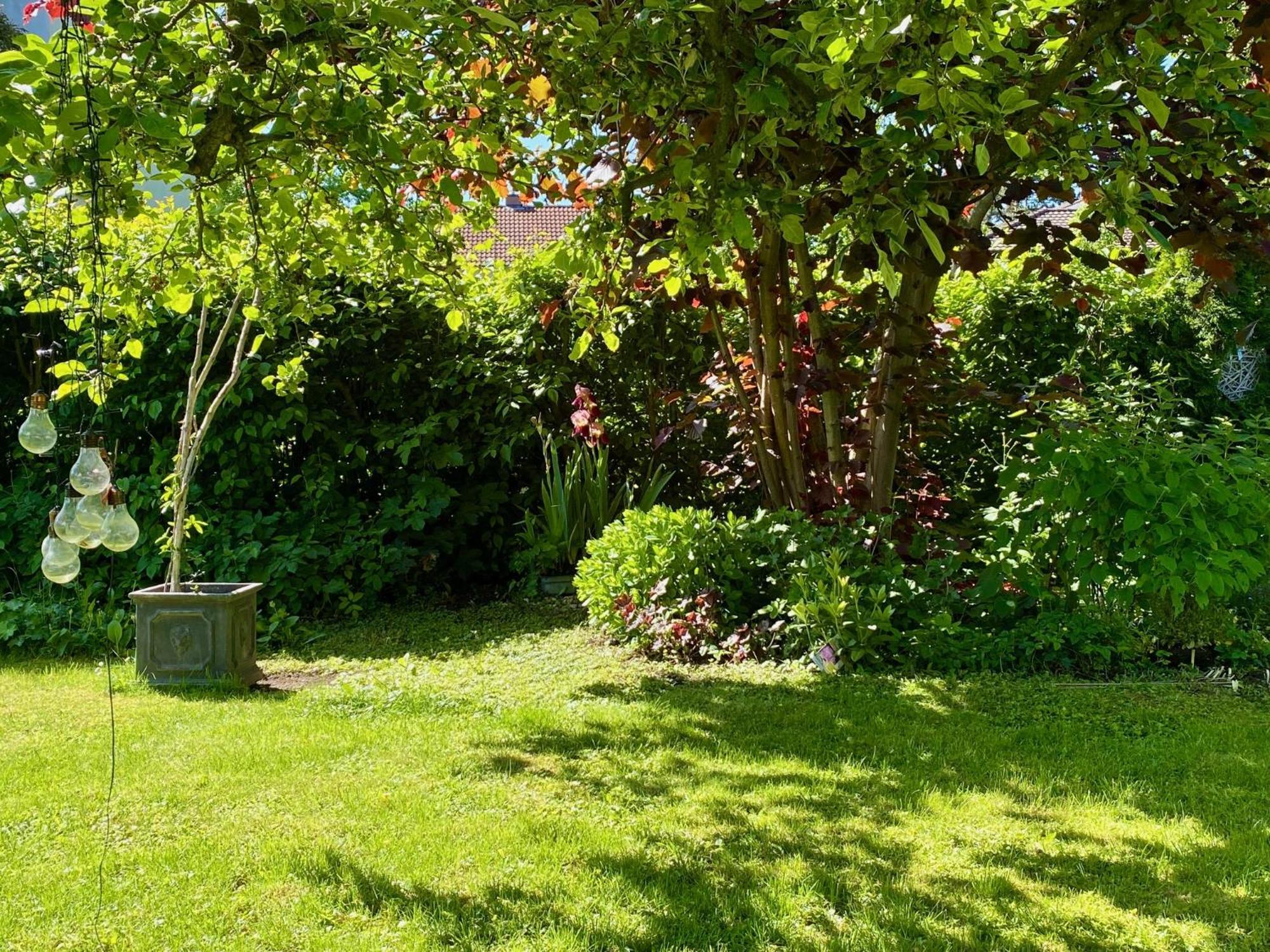 Auszeit-Ort Mit Wohlfuehl-Garantie Apartment นอย-อุล์ม ภายนอก รูปภาพ